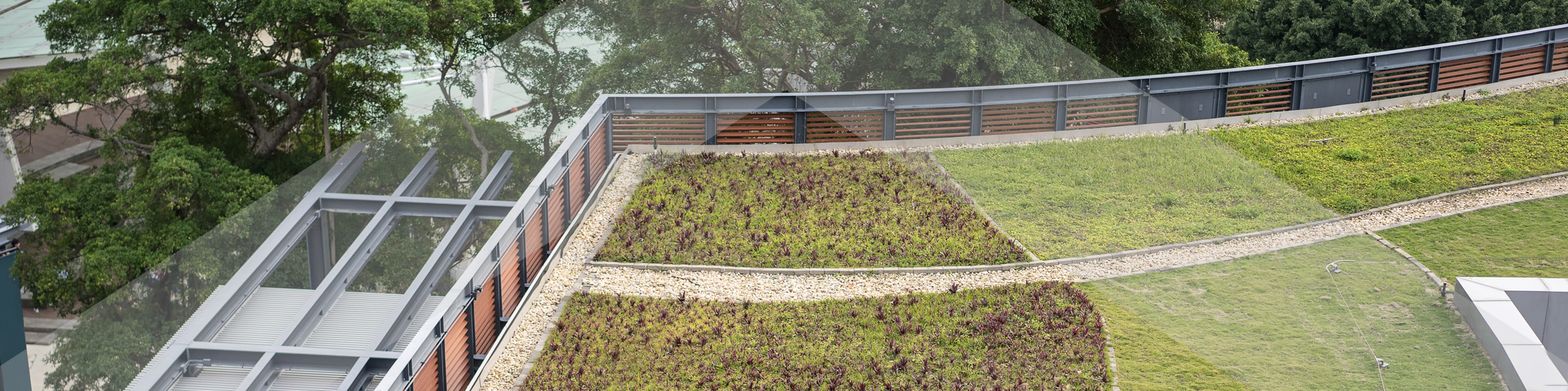 Green-Roof