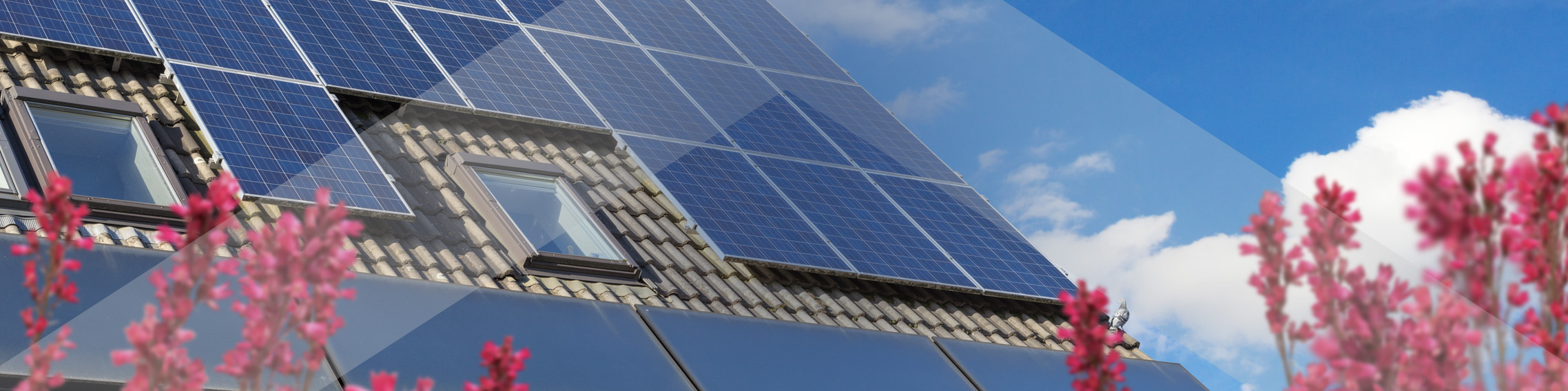 solar-pv-main