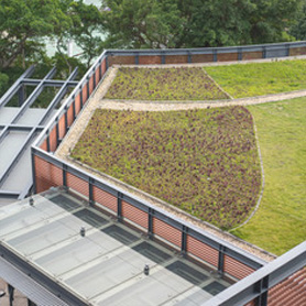 green roofing